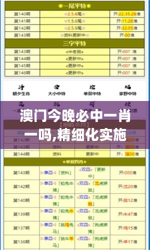 澳门今晚必中一肖一吗,精细化实施分析_UFD27.632交互版