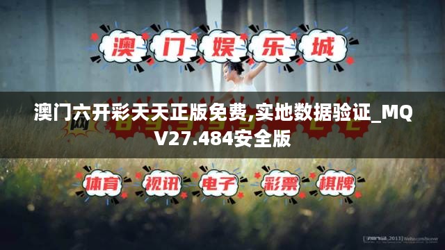 澳门六开彩天天正版免费,实地数据验证_MQV27.484安全版