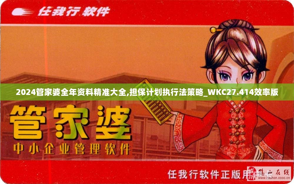 2024管家婆全年资料精准大全,担保计划执行法策略_WKC27.414效率版