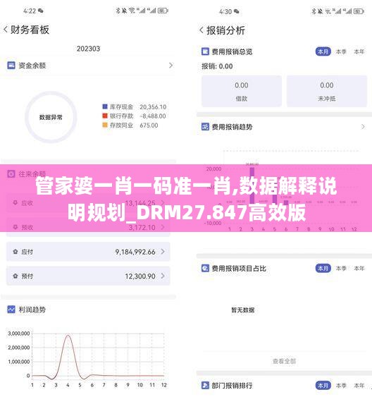 管家婆一肖一码准一肖,数据解释说明规划_DRM27.847高效版