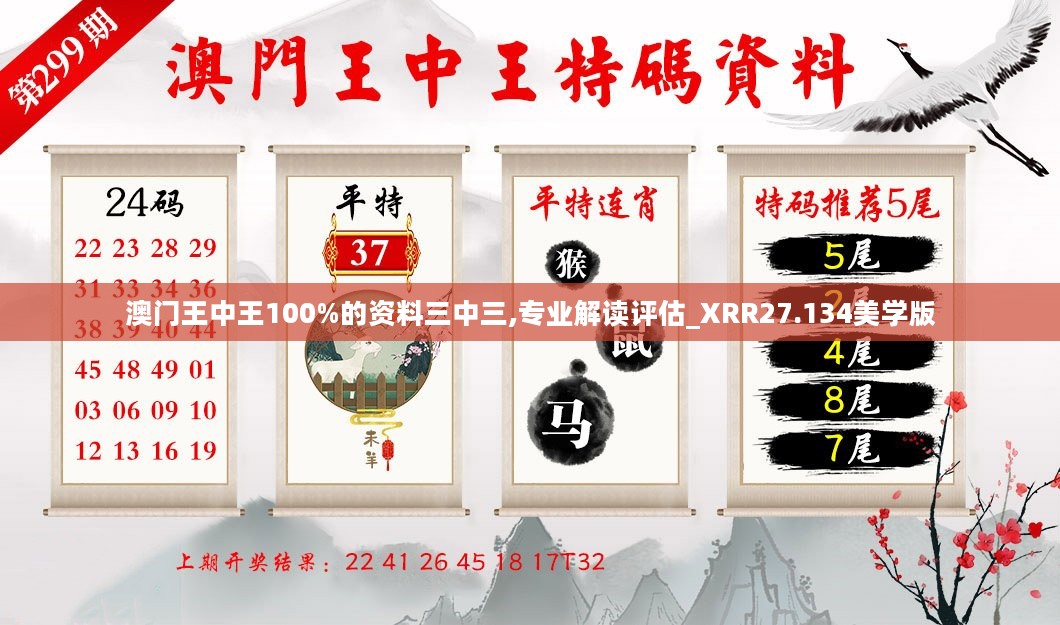 澳门王中王100%的资料三中三,专业解读评估_XRR27.134美学版