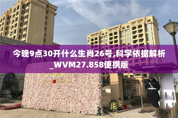 今晚9点30开什么生肖26号,科学依据解析_WVM27.858便携版