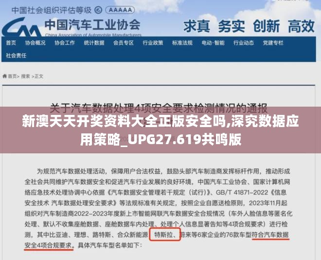 新澳天天开奖资料大全正版安全吗,深究数据应用策略_UPG27.619共鸣版