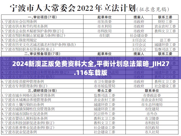 2024新澳正版免费资料大全,平衡计划息法策略_JIH27.116车载版