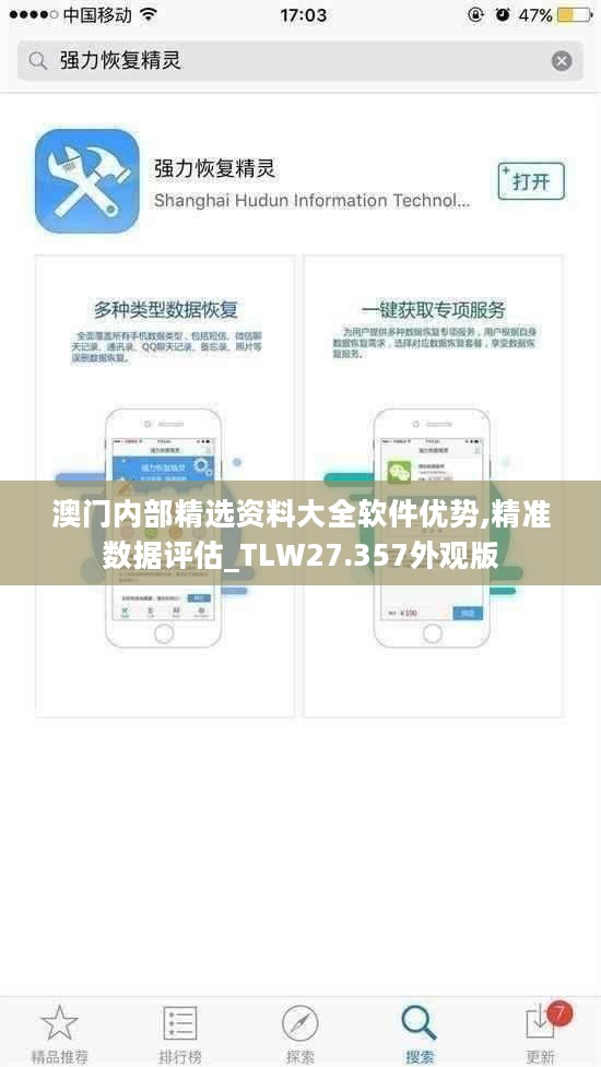澳门内部精选资料大全软件优势,精准数据评估_TLW27.357外观版