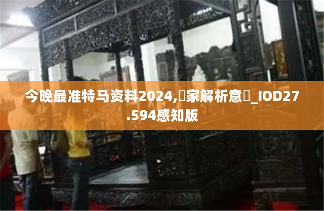 今晚最准特马资料2024,專家解析意見_IOD27.594感知版