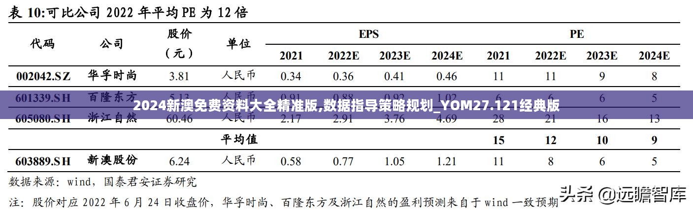 2024新澳免费资料大全精准版,数据指导策略规划_YOM27.121经典版