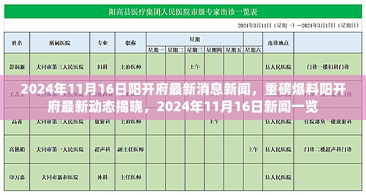 阳开府最新动态揭晓，重磅新闻一览（2024年11月16日）