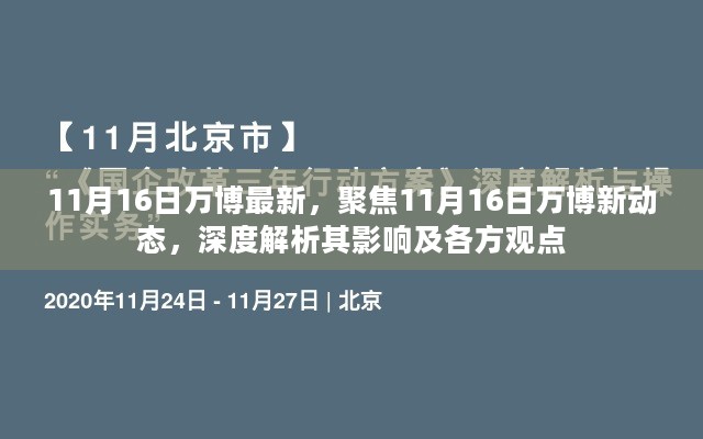 11月16日万博新动态深度解析，影响及各方观点一览