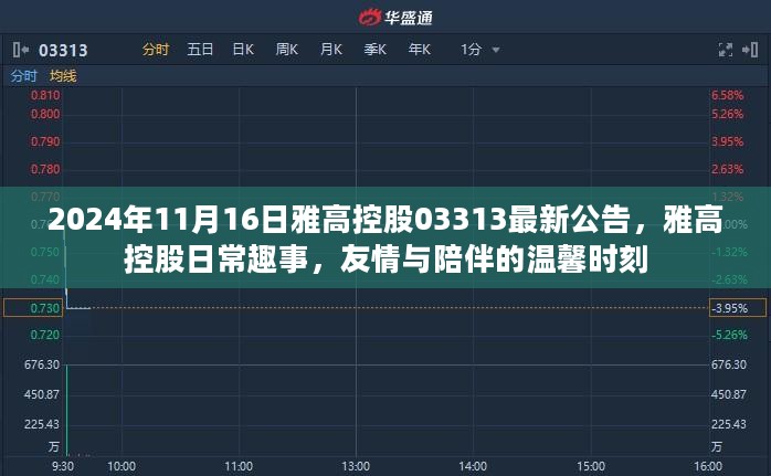 雅高控股日常趣事与温馨时刻，友情与陪伴的见证（最新公告发布）