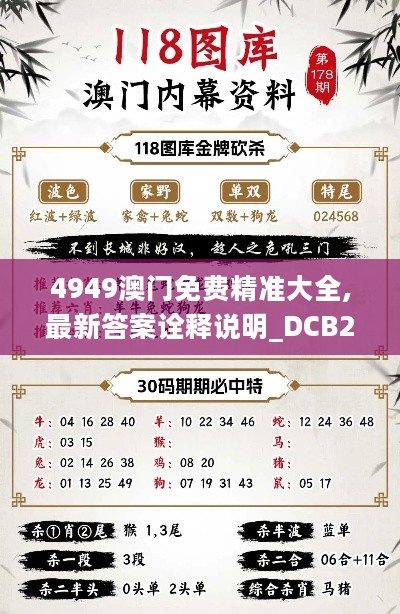 4949澳门免费精准大全,最新答案诠释说明_DCB27.335VR版