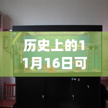 历史上的11月16日，可丽爱鱼缸最新款带你探索自然美景，寻找内心宁静之旅