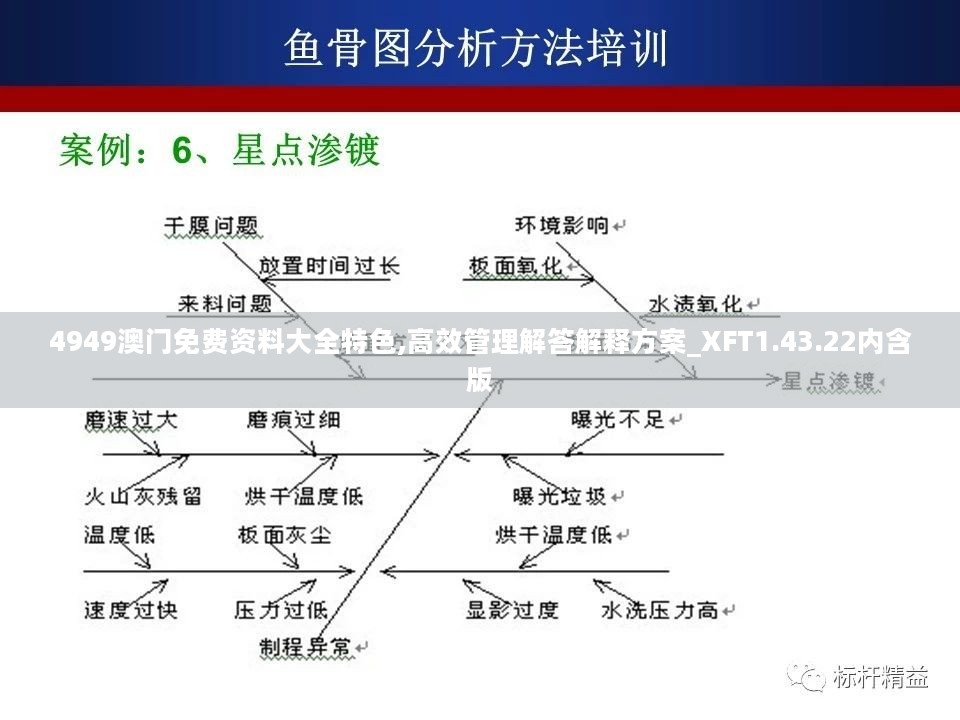 4949澳门免费资料大全特色,高效管理解答解释方案_XFT1.43.22内含版