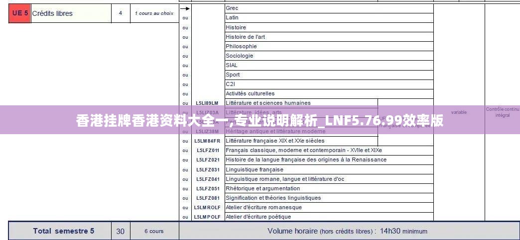 香港挂牌香港资料大全一,专业说明解析_LNF5.76.99效率版