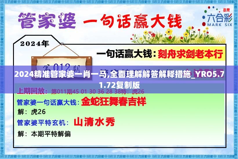 2024精准管家婆一肖一马,全面理解解答解释措施_YRO5.71.72复制版