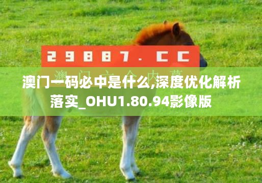 澳门一码必中是什么,深度优化解析落实_OHU1.80.94影像版