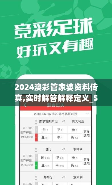 2024澳彩管家婆资料传真,实时解答解释定义_SRG6.11.82模拟版