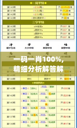 一码一肖100%,精细分析解答解释计划_YRV9.77.21传承版