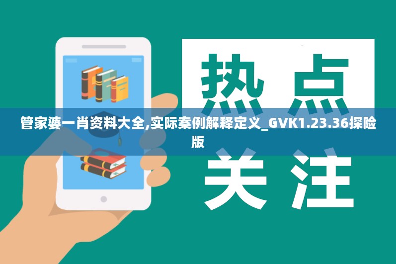 管家婆一肖资料大全,实际案例解释定义_GVK1.23.36探险版