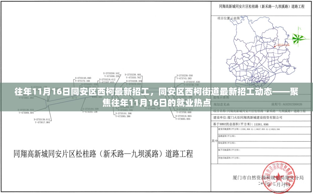 同安区西柯街道历年11月16日招工动态及就业热点聚焦