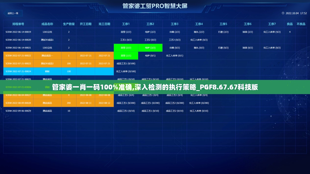 管家婆一肖一码100%准确,深入检测的执行策略_PGF8.67.67科技版