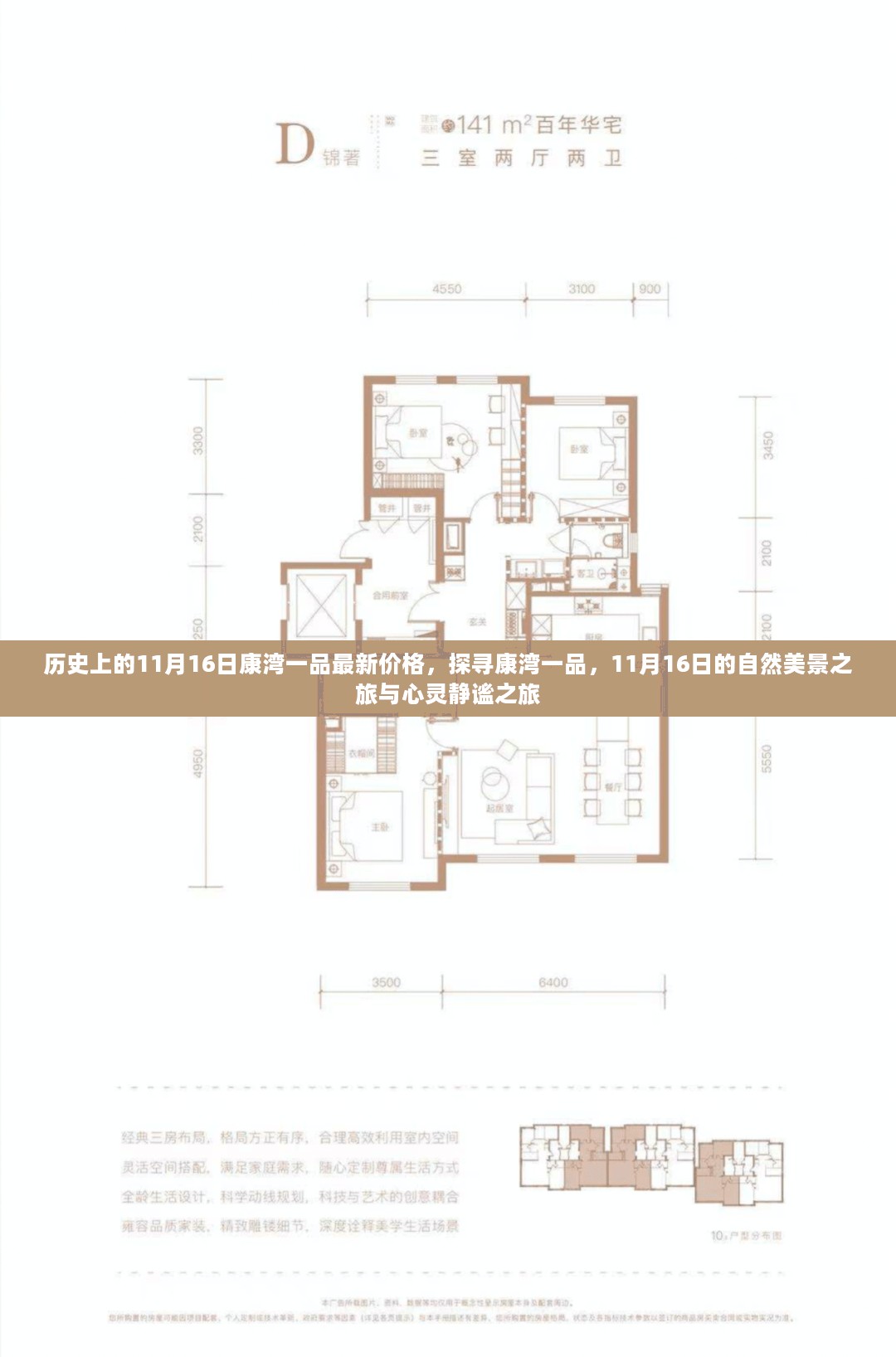 探寻康湾一品，揭秘历史价格与心灵静谧之旅的11月16日体验