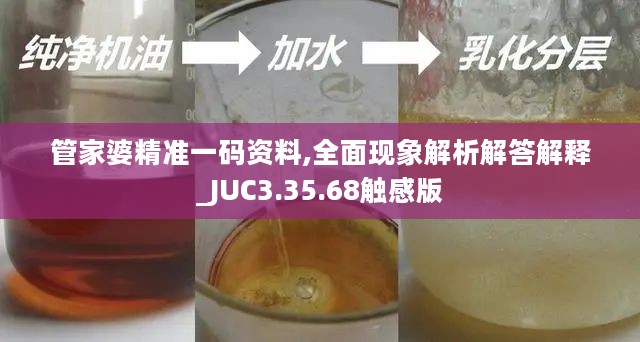 管家婆精准一码资料,全面现象解析解答解释_JUC3.35.68触感版