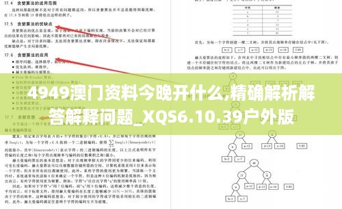 4949澳门资料今晚开什么,精确解析解答解释问题_XQS6.10.39户外版