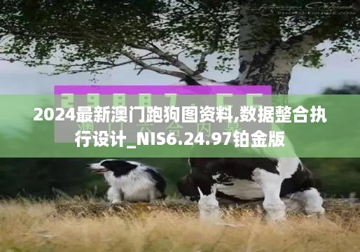 2024最新澳门跑狗图资料,数据整合执行设计_NIS6.24.97铂金版