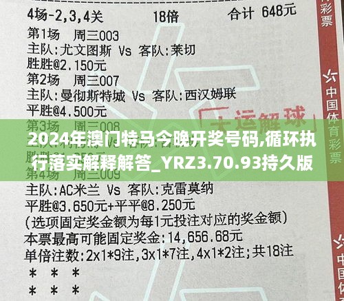 2024年澳门特马今晚开奖号码,循环执行落实解释解答_YRZ3.70.93持久版