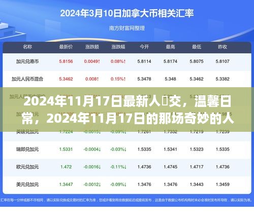 2024年11月17日的人潮交汇与友情派对，温馨日常的奇妙记录