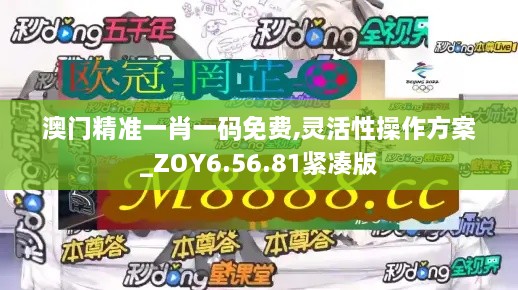 澳门精准一肖一码免费,灵活性操作方案_ZOY6.56.81紧凑版