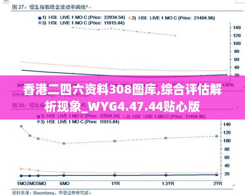 香港二四六资料308图库,综合评估解析现象_WYG4.47.44贴心版