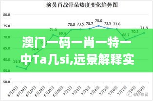 澳门一码一肖一特一中Ta几si,远景解释实施解答_SFW9.59.45复制版