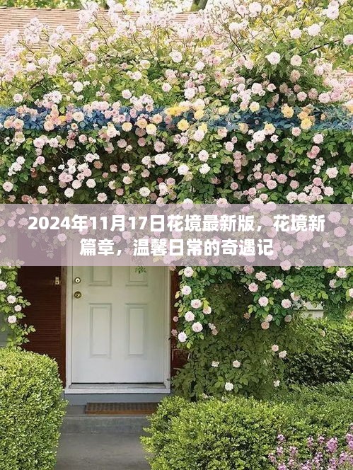 花境新篇章，2024年11月17日温馨日常的奇遇记