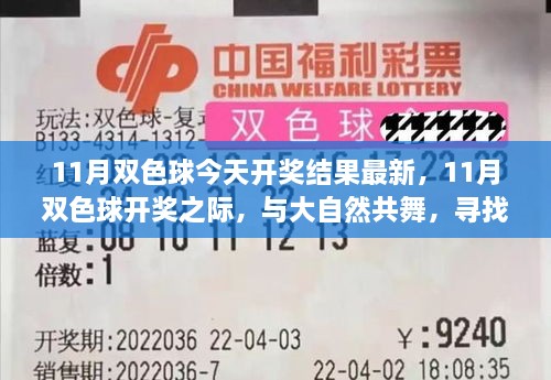 11月双色球开奖之际的心灵之旅，与大自然共舞，探寻桃花源般的梦想之地