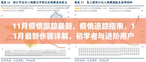 11月疫情追踪指南，最新步骤详解，适合初学者与进阶用户参考