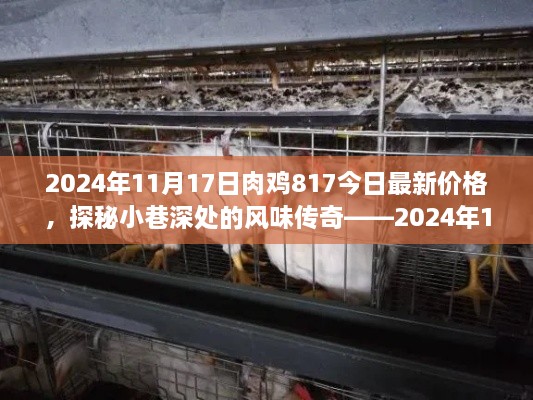 探秘小巷风味传奇，揭秘肉鸡817最新价格，2024年行情分析