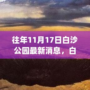 往年11月17日白沙公园揭秘，最新动态与新鲜事回顾