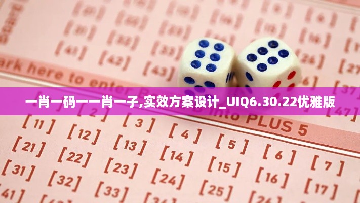 一肖一码一一肖一子,实效方案设计_UIQ6.30.22优雅版