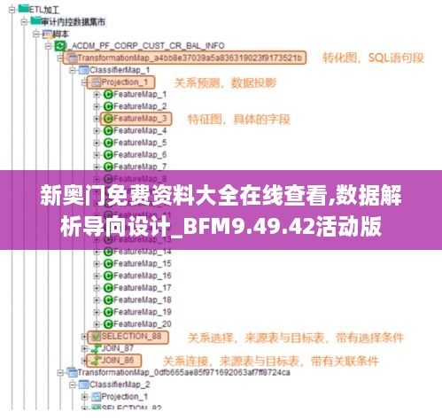 新奥门免费资料大全在线查看,数据解析导向设计_BFM9.49.42活动版