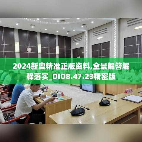 2024新奥精准正版资料,全景解答解释落实_DIO8.47.23精密版