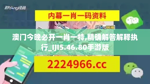 澳门今晚必开一肖一特,精确解答解释执行_IJI5.46.80手游版