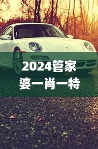 2024管家婆一肖一特,行家解答解释落实_XNG5.12.47影像版