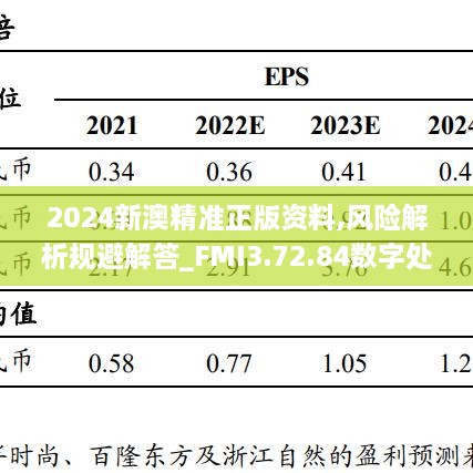 2024新澳精准正版资料,风险解析规避解答_FMI3.72.84数字处理版