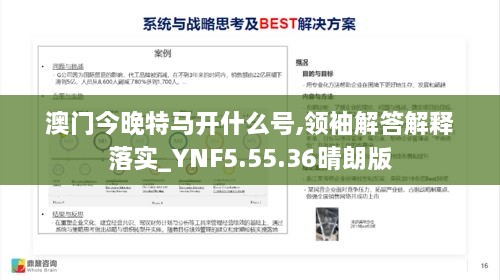 澳门今晚特马开什么号,领袖解答解释落实_YNF5.55.36晴朗版