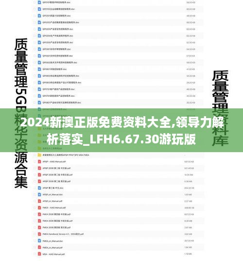 2024新澳正版免费资料大全,领导力解析落实_LFH6.67.30游玩版