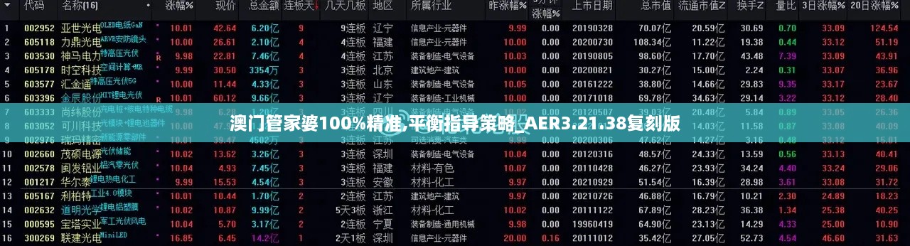 澳门管家婆100%精准,平衡指导策略_AER3.21.38复刻版