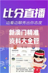 新澳门精准资料大全管家婆料,实时解答解析说明_VSB2.64.36并行版