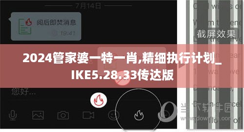 2024管家婆一特一肖,精细执行计划_IKE5.28.33传达版